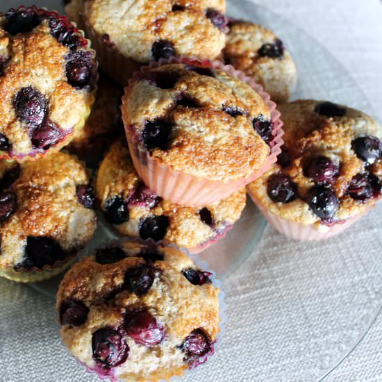 Blueberry Lemon Muffins