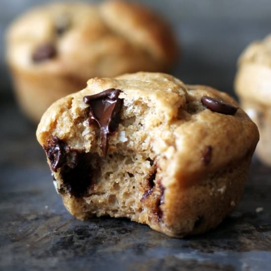 Banana Chocolate Chip Muffins