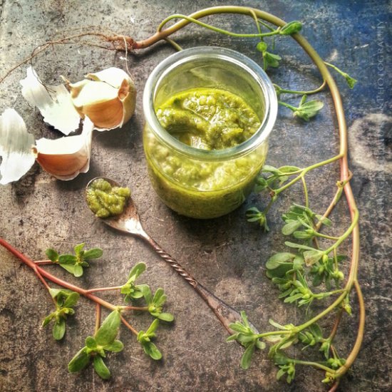 Purslane Pesto