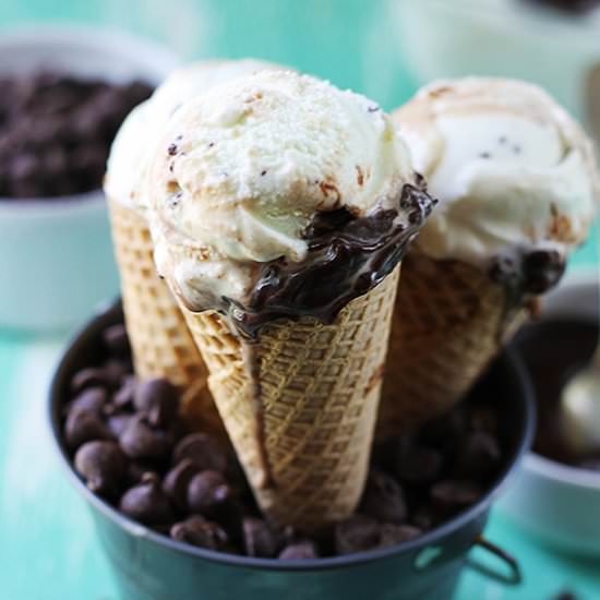 Mint Chocolate Chip Ice Cream