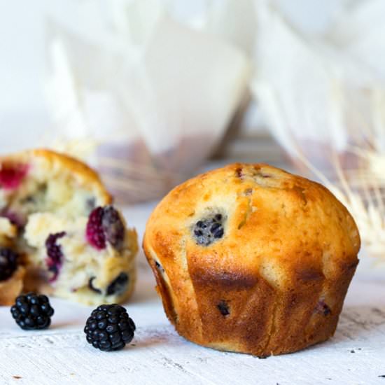 WILD BLACKBERRIES MUFFINS