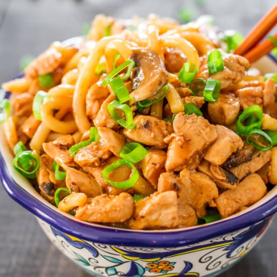 Hoisin Chicken Udon Noodles