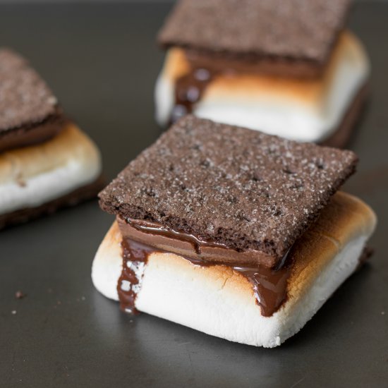 Double Chocolate Mocha S’mores