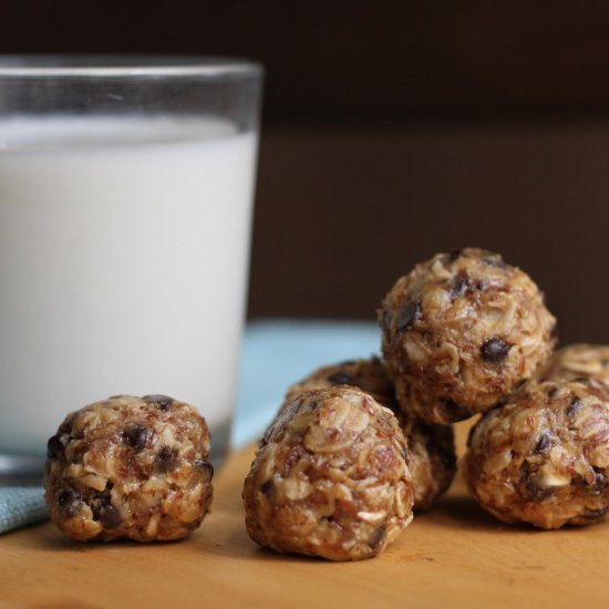 Gluten-Free Honey Oat Protein Bites