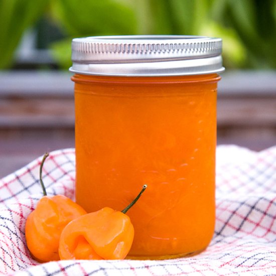 Homemade Apricot Habanero Jam