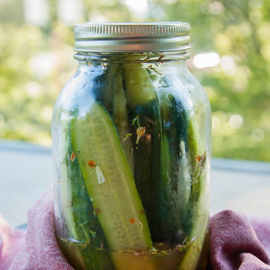 Homemade Zesty Dill Pickles