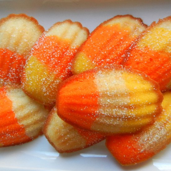 Candy Corn Madeleines