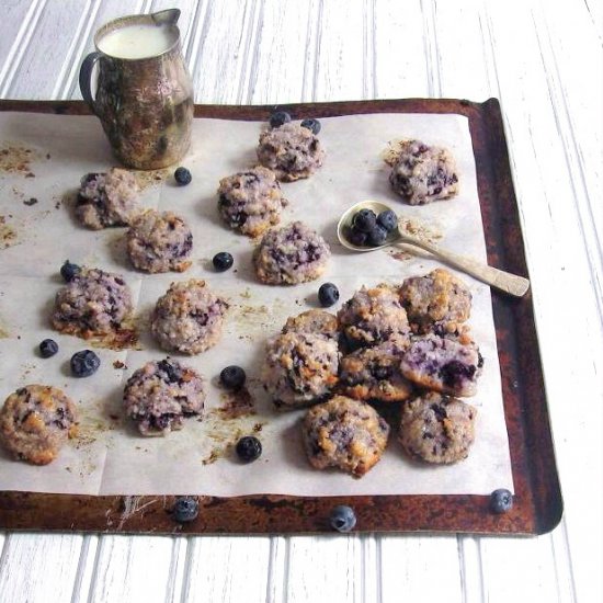 Blueberry Coconut Macaroons