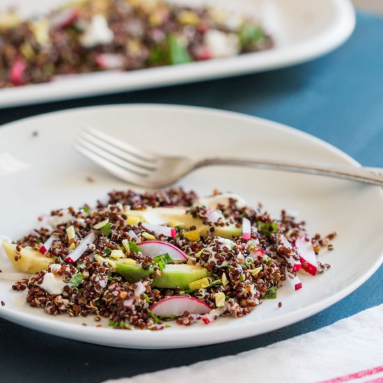 Lemony Avocado + Black Quinoa Salad