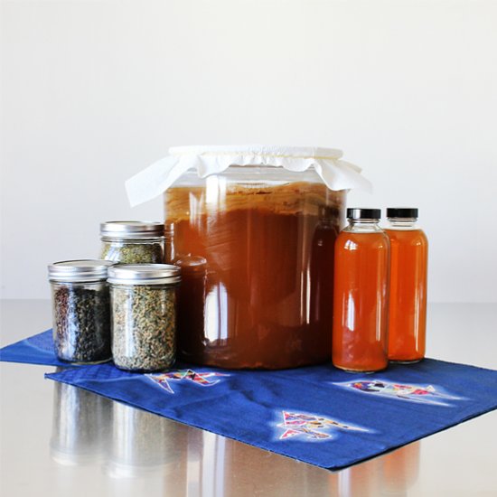 Homemade Kombucha – Fermented Tea