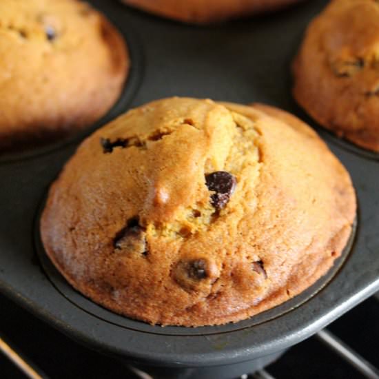 Chocolate Chip Pumpkin Muffins