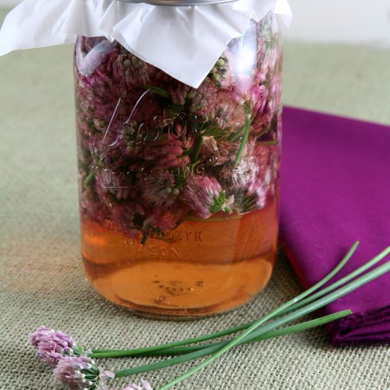 Infused Chive Blossom Vinegar