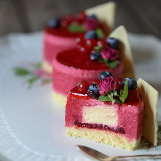 BERRY ENTREMETS