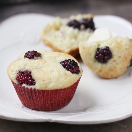 Blackberry Sour Cream Muffins