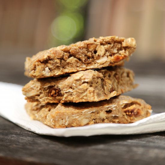 Easy Energy Bars