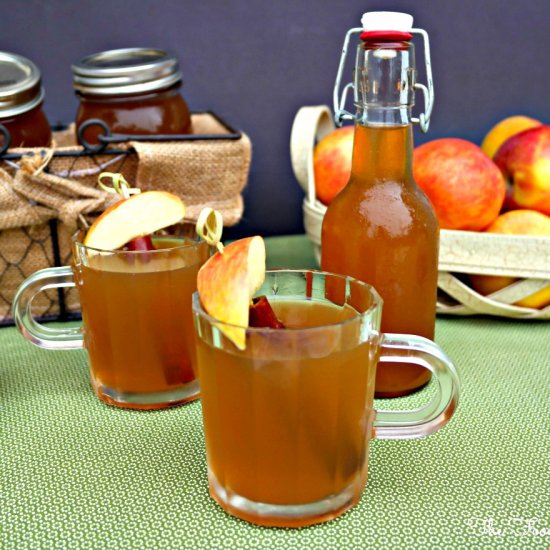 Apple Pie Moonshine