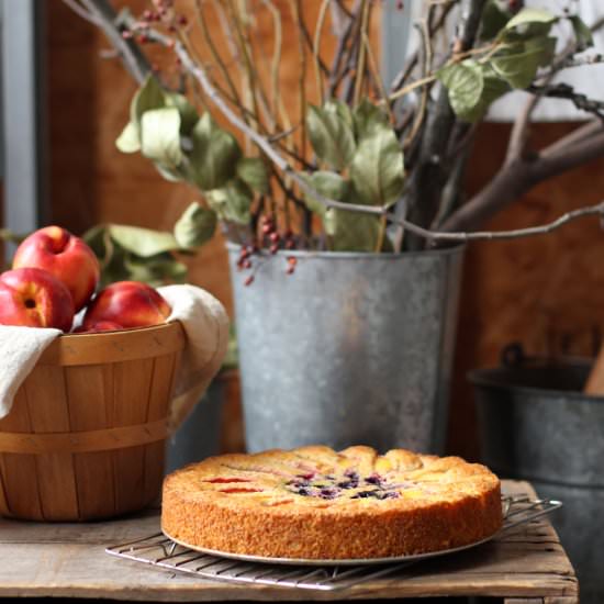 Blueberry Nectarine Cornmeal Cake