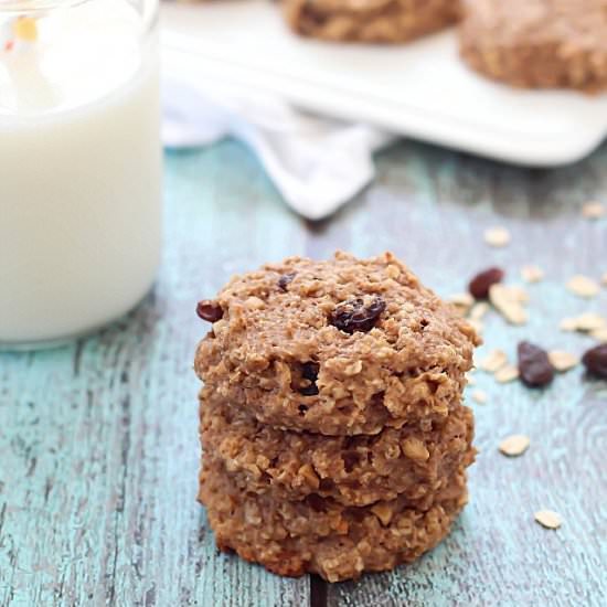 Banana Oatmeal Breakfast Cookies