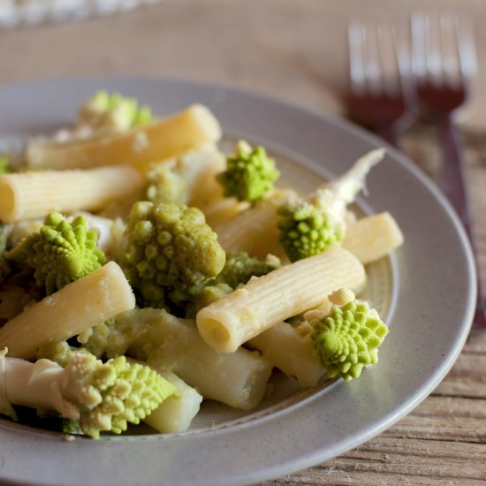 Ribbed Striped with Broccoli Romane