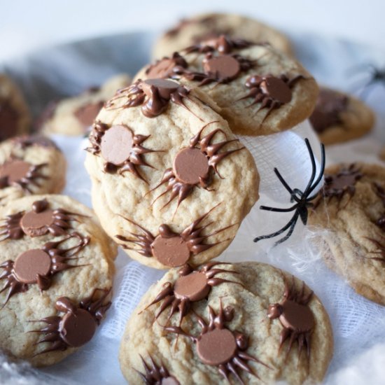 Chocolate Chip Spider Cookies