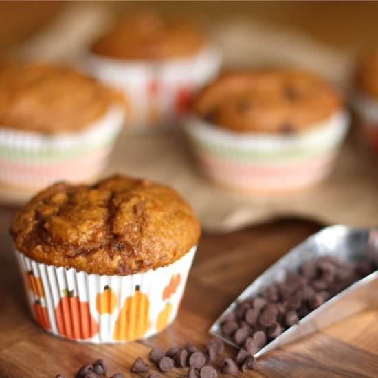 Pumpkin-Chocolate Chip Muffins