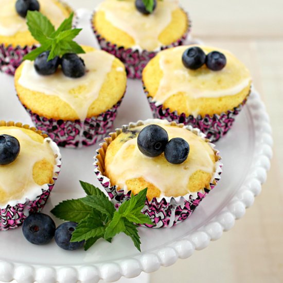 Blueberry Lemon Cupcakes