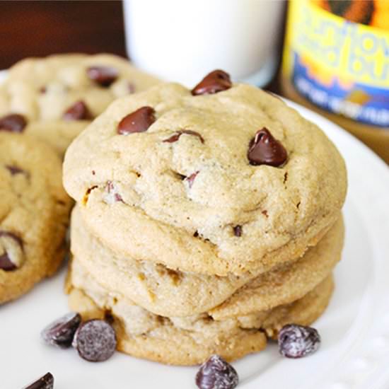 Chocolate Chip SunButter Cookies