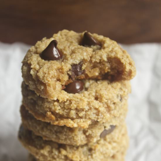 Paleo Pumpkin Chocolate Chip Cookie