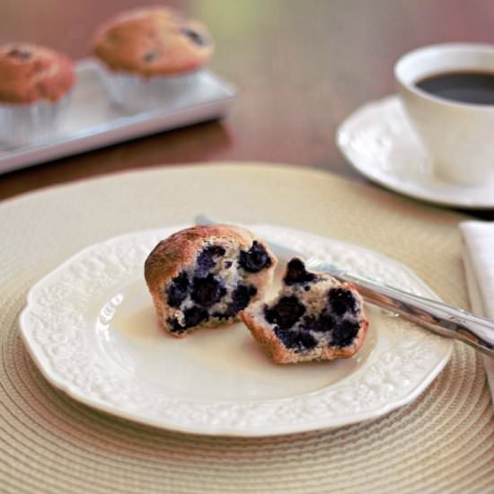 Gluten Free Blueberry Muffins