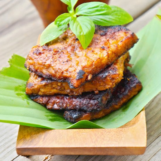 Spices Marinated Tempeh