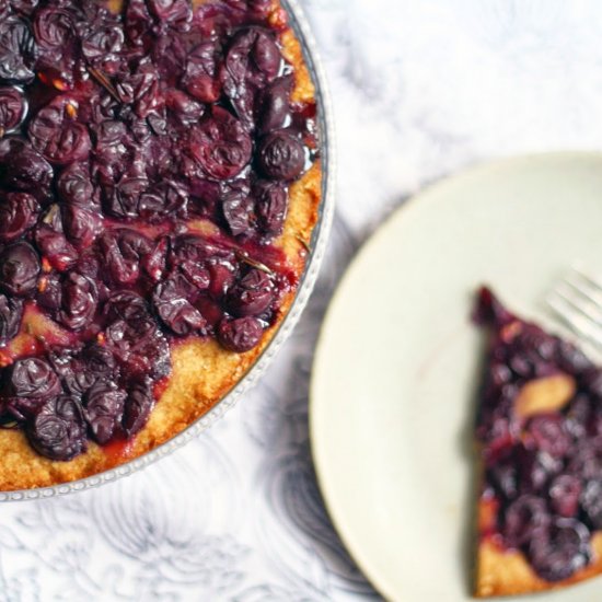 Concord grape tart