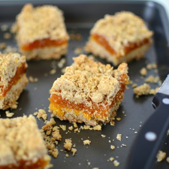 Apricot Oatmeal Breakfast Bars