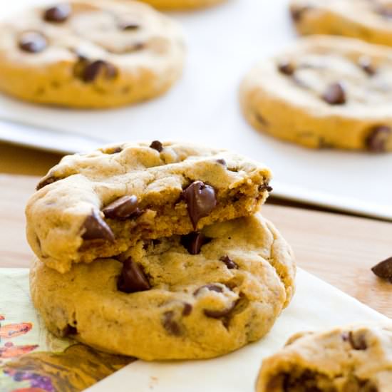 Pumpkin Chocolate Chip Cookies