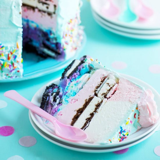 Birthday Party Ice Cream Cake