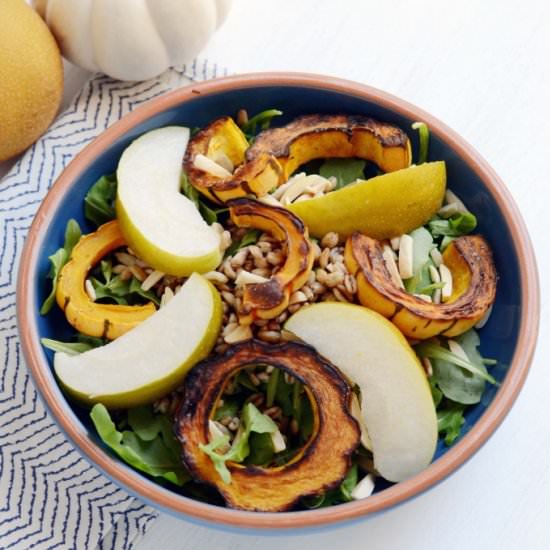 Fall Harvest Salad