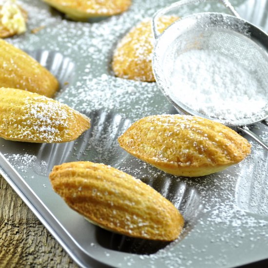 Lemon Madeleines