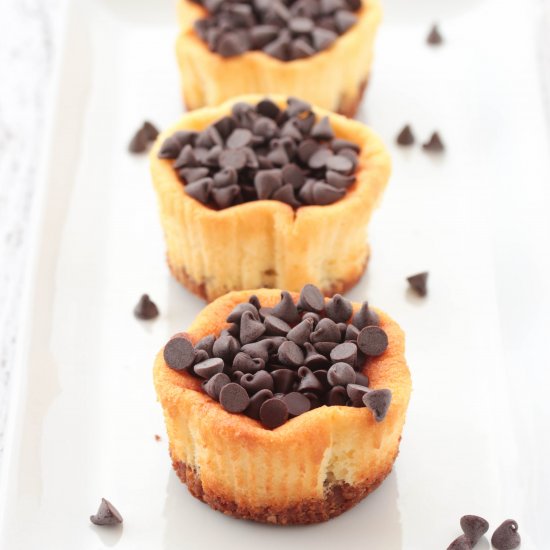 Mini Italian Chocolate Cheesecakes