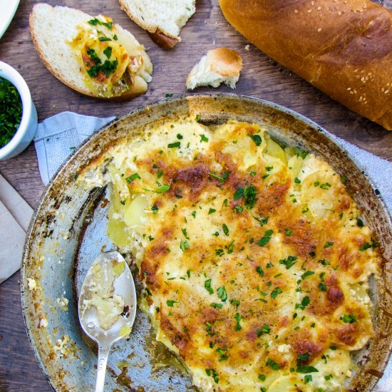 Potato and caramelized onion gratin