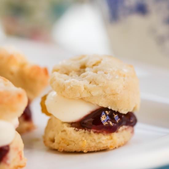 Mini Cream Scones