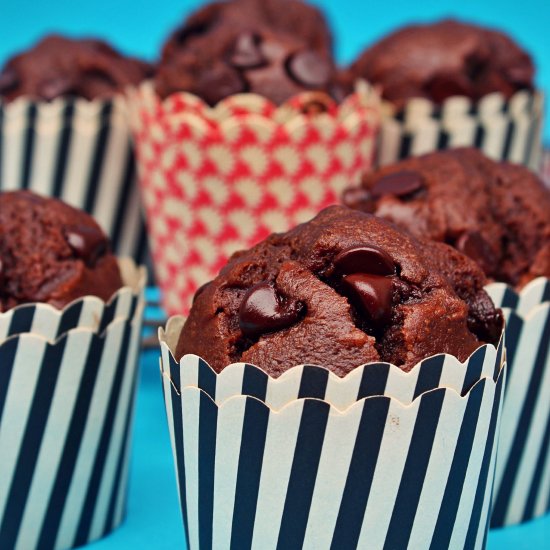 Double Chocolate Muffins