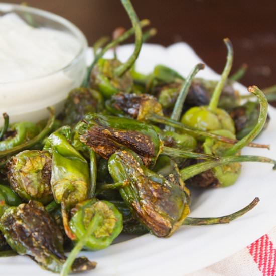 Blistered Padron Peppers