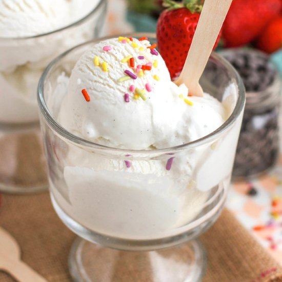 Healthy Vanilla Frozen Yogurt