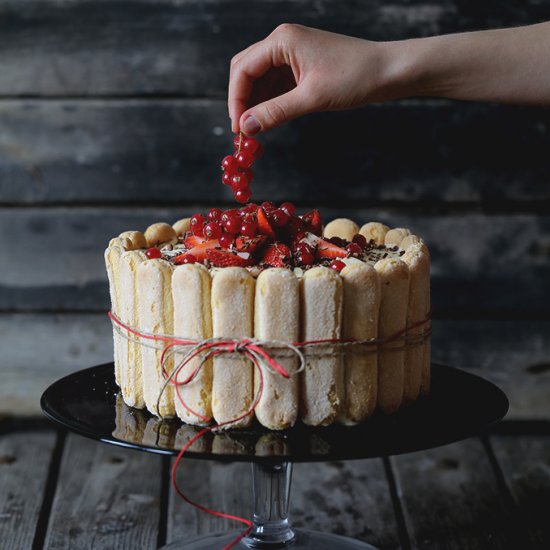 TIRAMISU CAKE