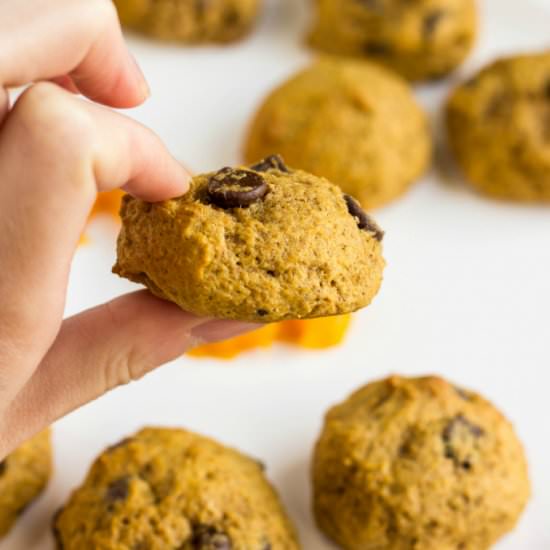 Chocolate Chip Pumpkin Cookies