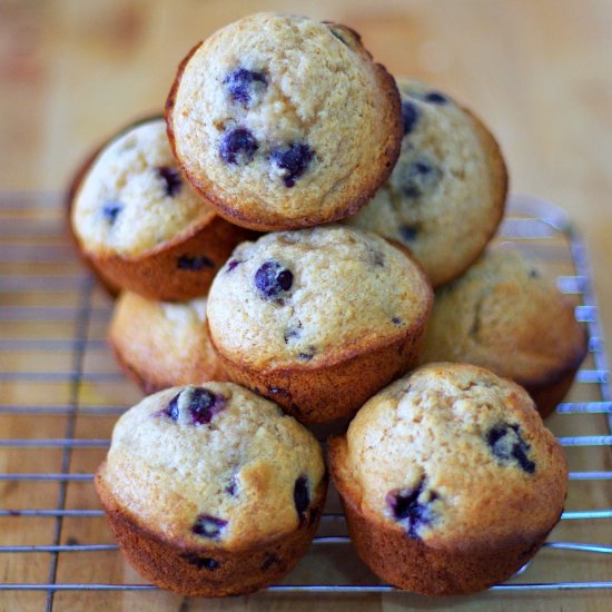 Blueberry Ricotta Muffins