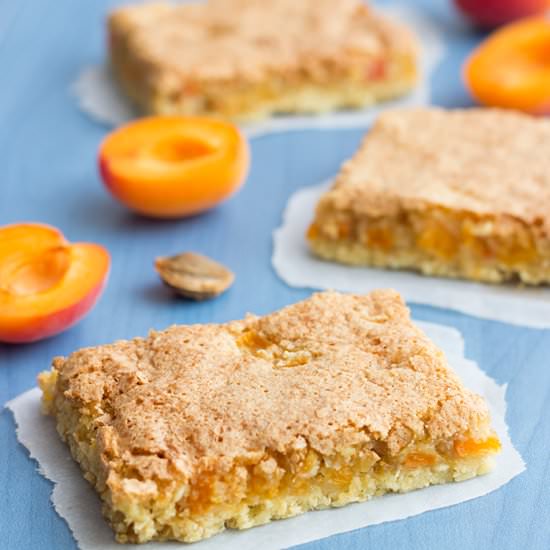 Apricots Coconut Bars