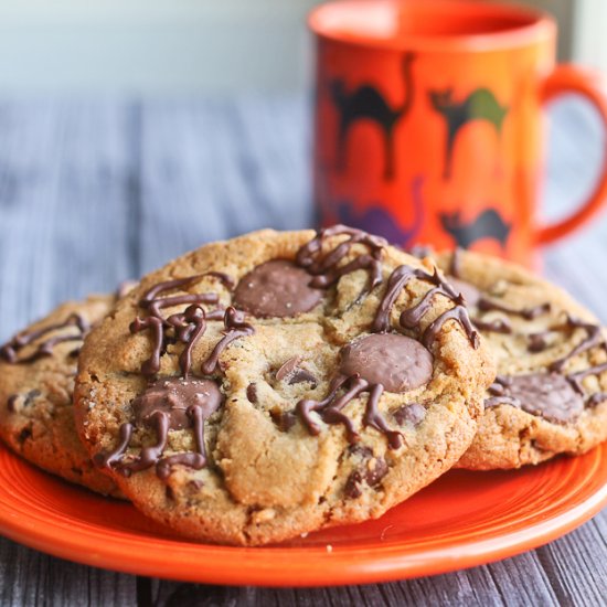 Spider Infested Cookies