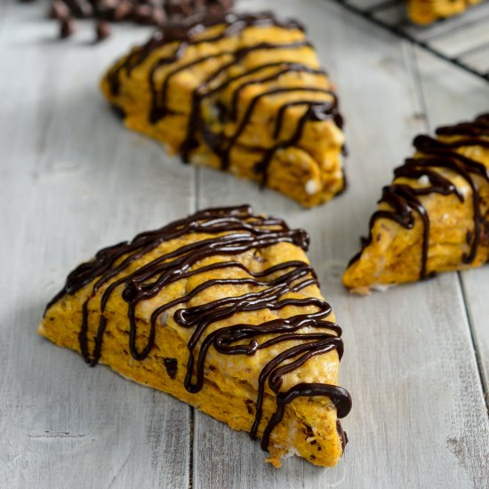 Pumpkin Chocolate Chunk Scones