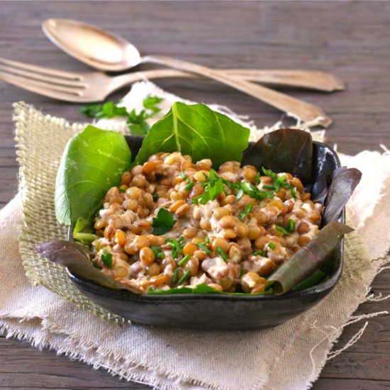 a warm lentil salad