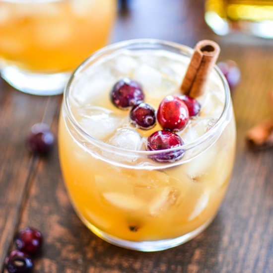 Apple and Pumpkin Beer Cocktails